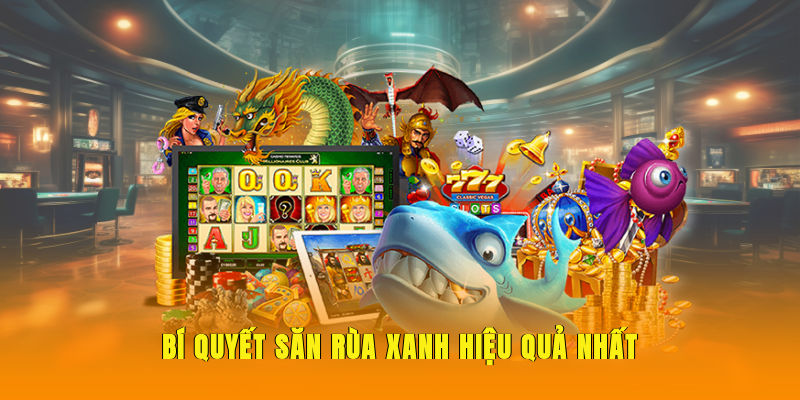 Bí quyết săn Rùa Xanh hiệu quả nhất