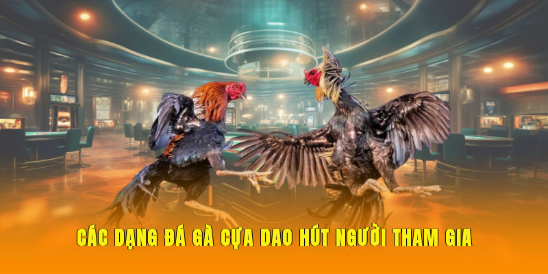 Các dạng đá gà cựa dao hút người tham gia