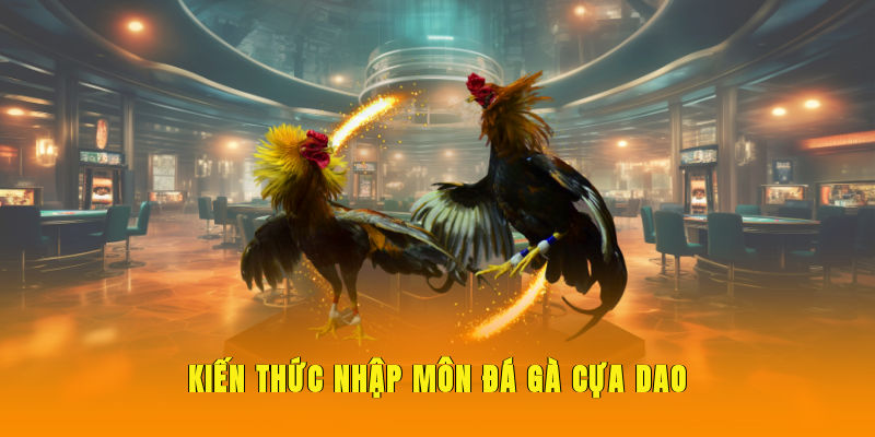 Kiến thức nhập môn đá gà cựa dao